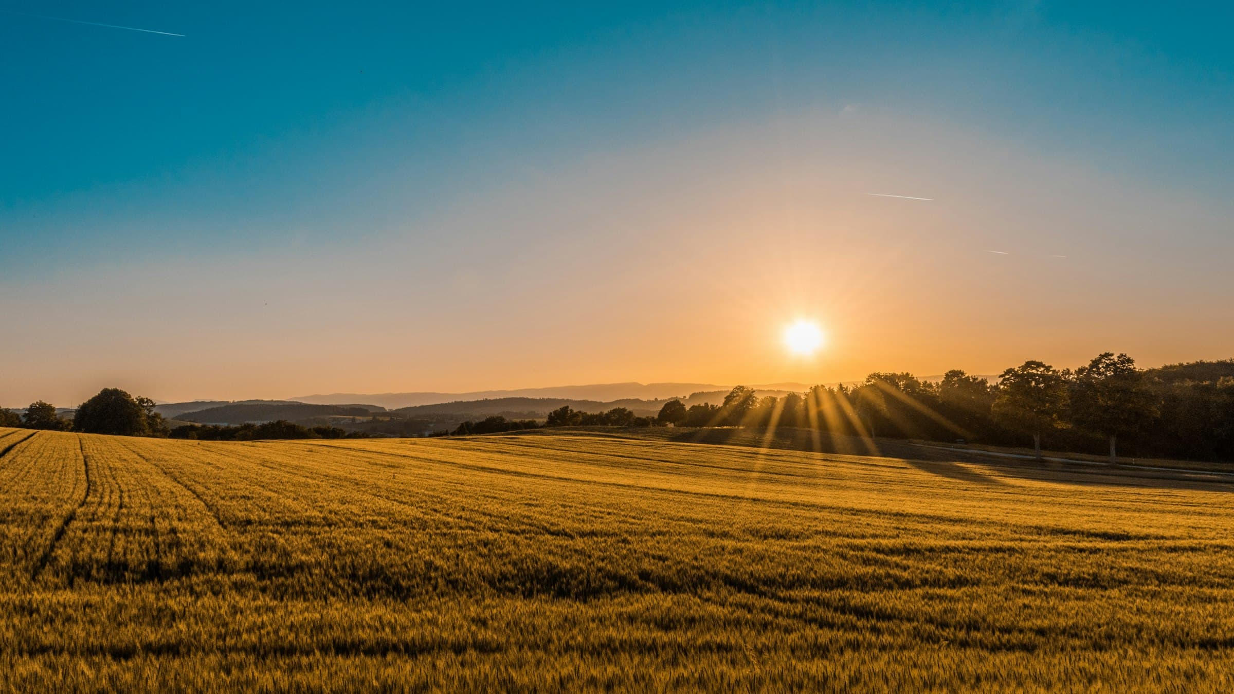 Sunrise over a U.S. grain field